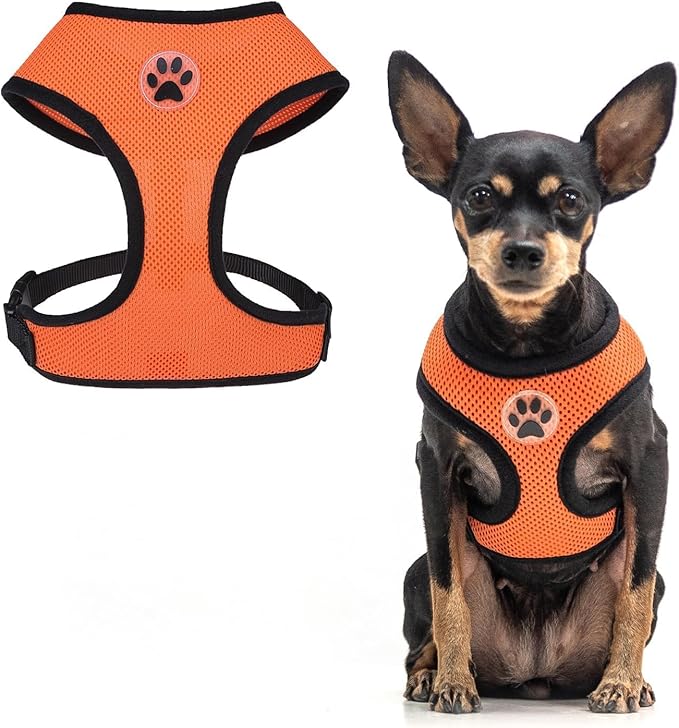 BINGPET No Pull Dog Harness,Soft Mesh Breathable All Weather Vest Harness,Safety Protection Design Durable Adjustable Step-in Easy Walk Dog Harness for Small Medium Large Dogs(Orange,XS)