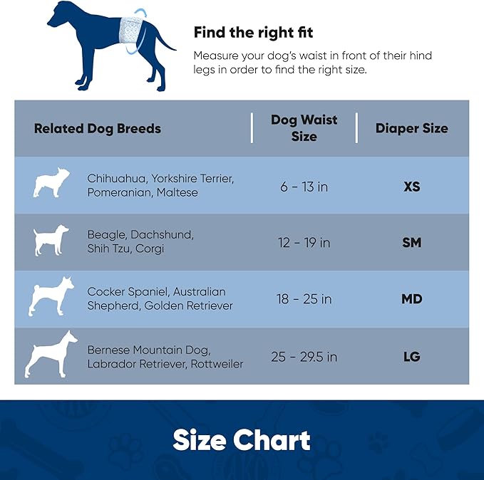 American Kennel Club Male Dog Wrap, Disposable Diapers with Wetness Indicator, X-Small, 50 Count