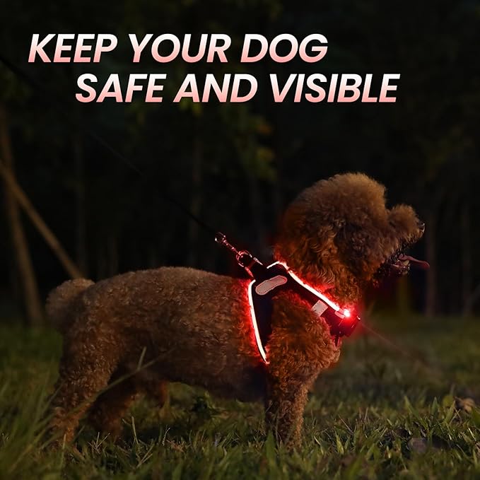 PceoTllar Light Up Dog Harness, LED No Pull Reflective Dog Harness, Flashing Lighted for Night Walking - Small/Medium, (Black Red,m)