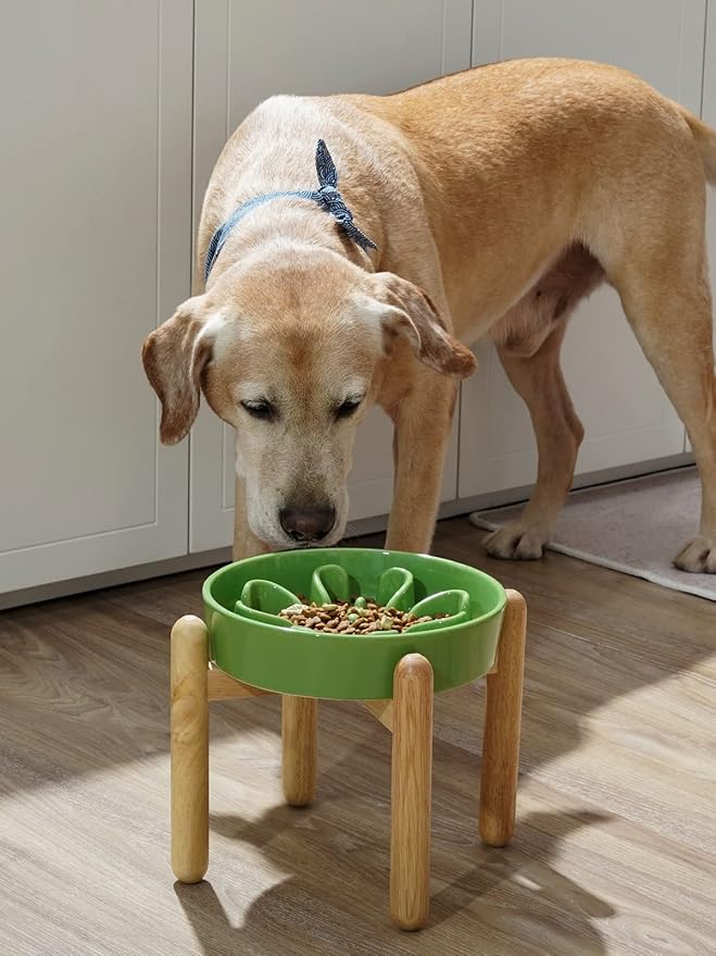 LE TAUCI Ceramic Slow Feeder Dog Bowls Elevated, 3 Cup Raised Bowl with Wooden Stand for Medium Large Breed, Slow Down Eating, Puzzle Dog Food Bowl, Clover Green