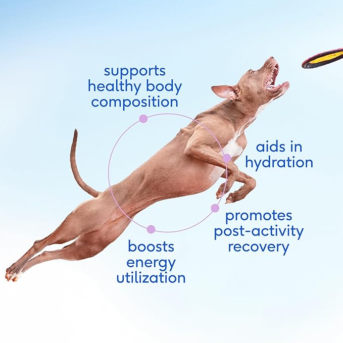 Native Pet Goat Milk for Dogs - Organic Goat Milk Powder for Dogs and Cats - Puppy Formula Dairy Replacement Packed with Protein & Vitamins for Immunity, Recovery & Growth for Active Pups - 60 Scoops