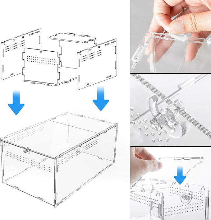 REPTI ZOO Large Tarantula Enclosure Spider Enclosure 14" X 8" X 6", 2 in 1 Acrylic Aboreal Breeding Box for Mantis Snail or Terrestrial Breeding Box for Cricket Jumping Spiders Tarantula