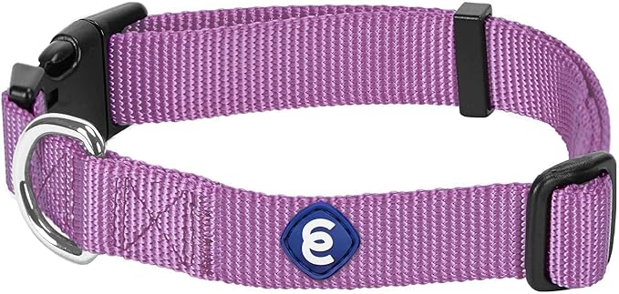 Blueberry Pet Essentials Matching Small Dog Collar | Adjustable Classic Solid Color Nylon Dog Collars for Small Dogs | Purple Dog Collar for Small Dogs