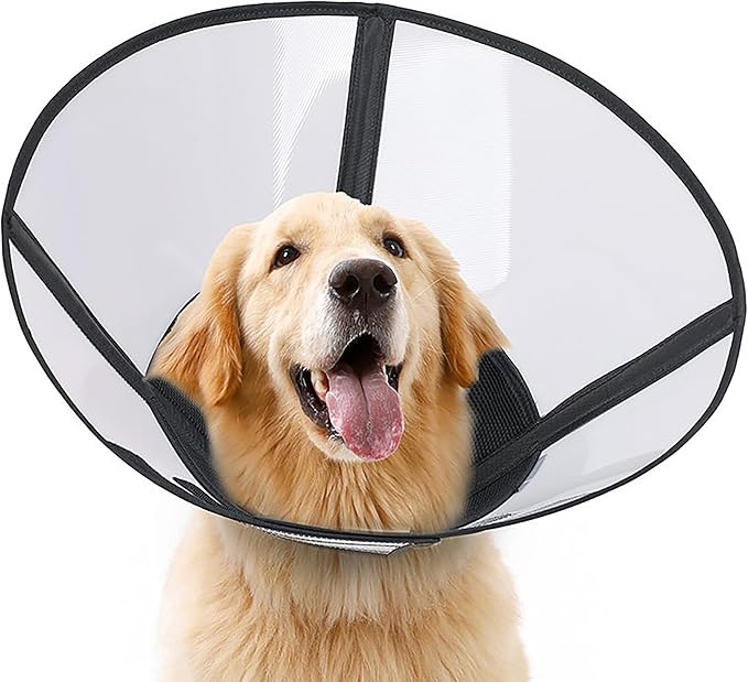 Soft Dog Cone Suitable for Postoperative Use in Dogs, Adjustable and Comfortable Elizabeth Collar, Used for Wound Care, Sterilization, Suitable for Medium to Large Dogs (L)