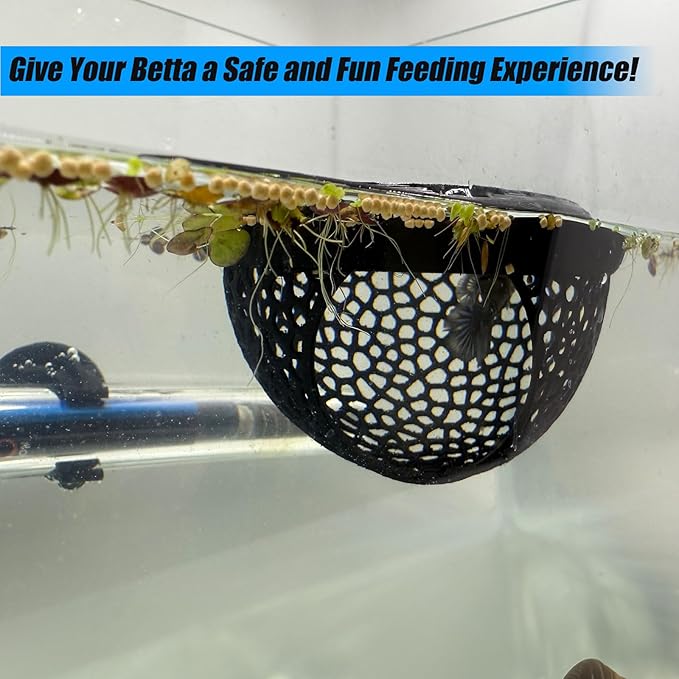 Aquarium Floating Betta Fish Skins, Betta or Shrimp Feeder, Cave and Hammock, Small Fish Feeding Rings, Aquarium Hiding Feeding Decorative Accessories (Cyan)