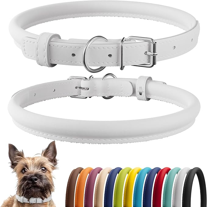 CollarDirect Rolled Leather Dog Collar, Soft Padded Round Puppy Collar, Handmade Genuine Leather Collar Dog Small Large Cat Collars 13 Colors (6 Inch, White Smooth)
