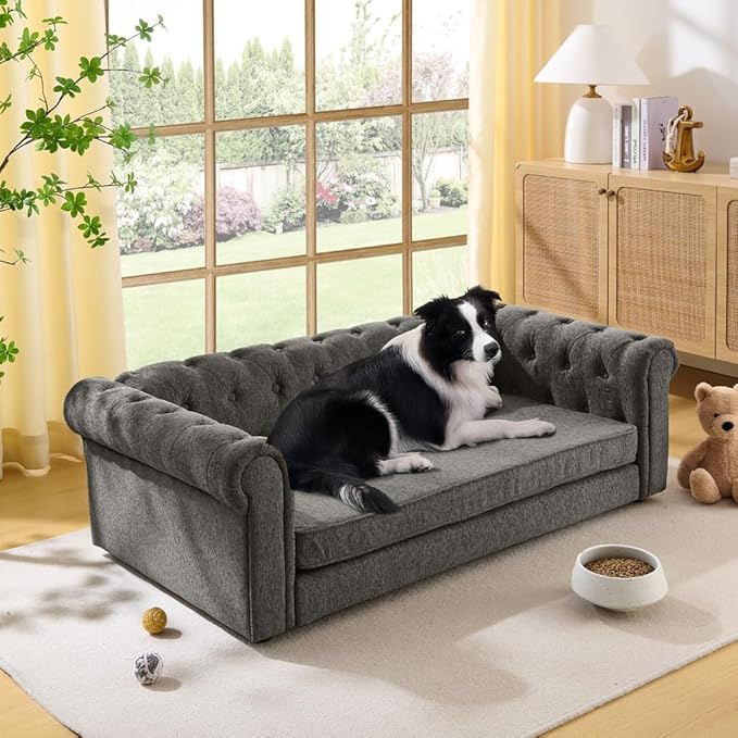 Dog Sofa Couch for Medium to Large Dogs, 55" Memory Foam Pet Sofa Couch with Washable Fabric, Durable Elevated Dog Bed with Legs, Removable Cushion for Medium and Large Dogs, Dark Grey
