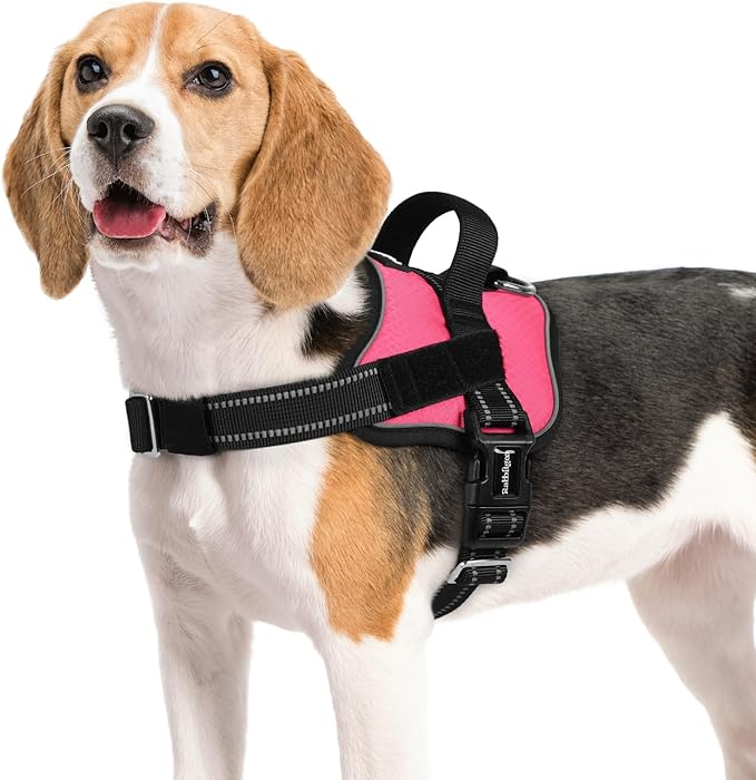 rabbitgoo Dog Harness Medium Sized, Easy On Pet Vest with One Buckle, No Pull Adjustable Service Harness with D-Ring & Handle, Reflective for Safety Walking, Training, Pink, M