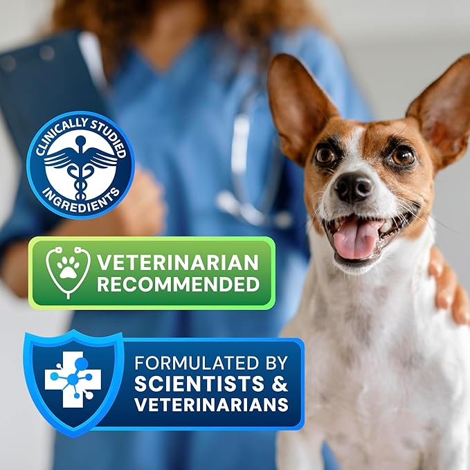 Pet Probiotics - S. boulardii + FOS Probiotic and Prebiotic Powder for Dogs and Cats 60g