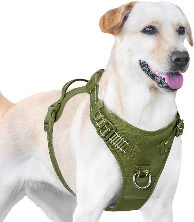 No Pull Dog Harness, Reflective Puppy Vest for Small Medium Large Sized Dog (Misty Green,S)