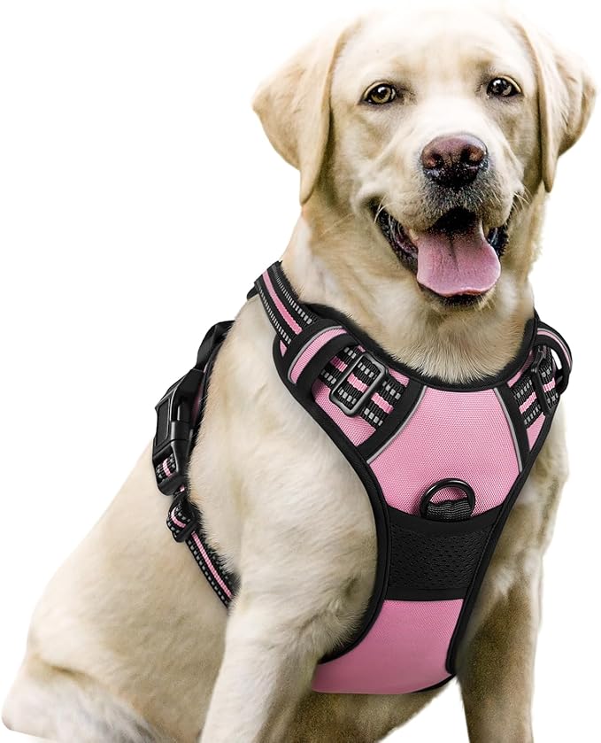rabbitgoo Dog Harness No Pull with 2 Leash Clips, Adjustable Soft Padded, Reflective Oxford No Choke Pet Vest with Easy Control Handle for Large Dogs, Pink, L