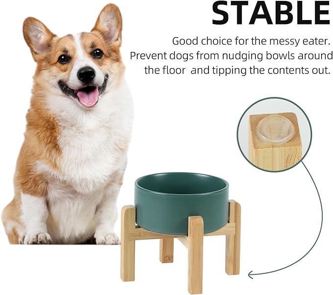 Ceramic Raised Dog and Cat Bowl Set, 2 Heights Elevated Stand, Food and Water Bowl for Small Breed Dogs, Weighted Dog Dishes, Pet Bowl(6.1'',28.7oz, Green)