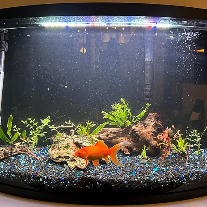 Natural Stone Aquarium Decoration 4.4 lb Dragon Stone Rock Mixed Sizes for Micro Landscape Fish Tank Decor