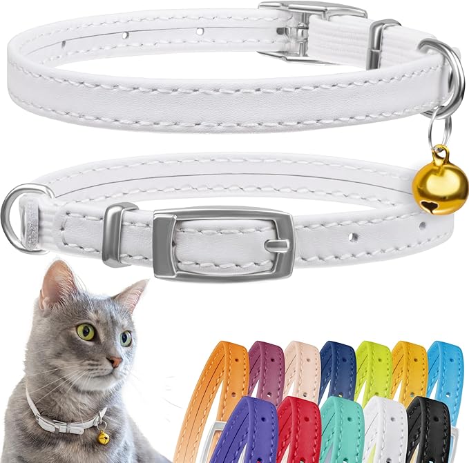 CollarDirect Leather Cat Collar, Kitten Collar with Removable Bell Black Blue Red Orange Lime Green (6-7 Inch, White)