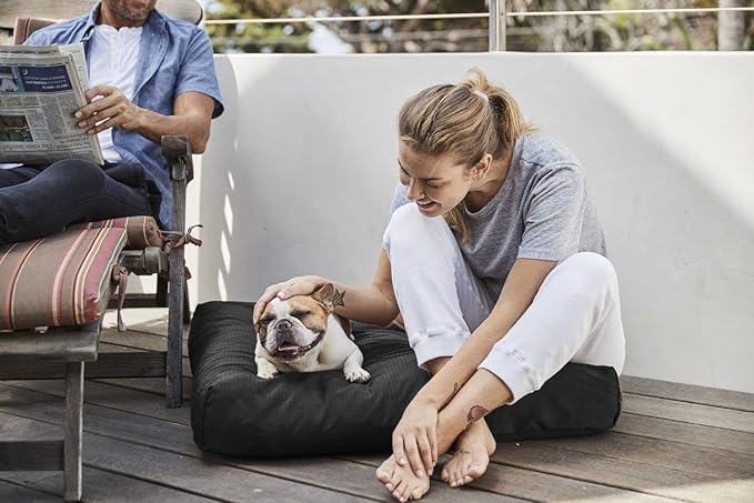 K9 Ballistics Tough Rectangle Pillow S Dog Bed - Removable Cover, Washable, Durable & Water Resistant Dog Bed Made for Small Dogs 24"x18" Sandstone
