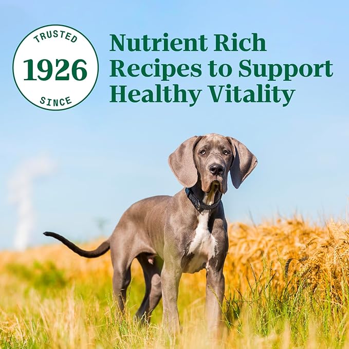 Nutro Natural Choice Large Breed Puppy Dry Dog Food, Lamb and Brown Rice Recipe, 30 lbs.