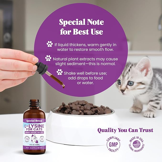 Special Breed L-Lysine for Cats & Kittens – Immune, Respiratory & Eye Health Support – Liquid Cat Supplement with Astragalus, Burdock, Atractylodes, Dangshen & Vitamins A, B1, B2, B6 – 4oz (120mL)