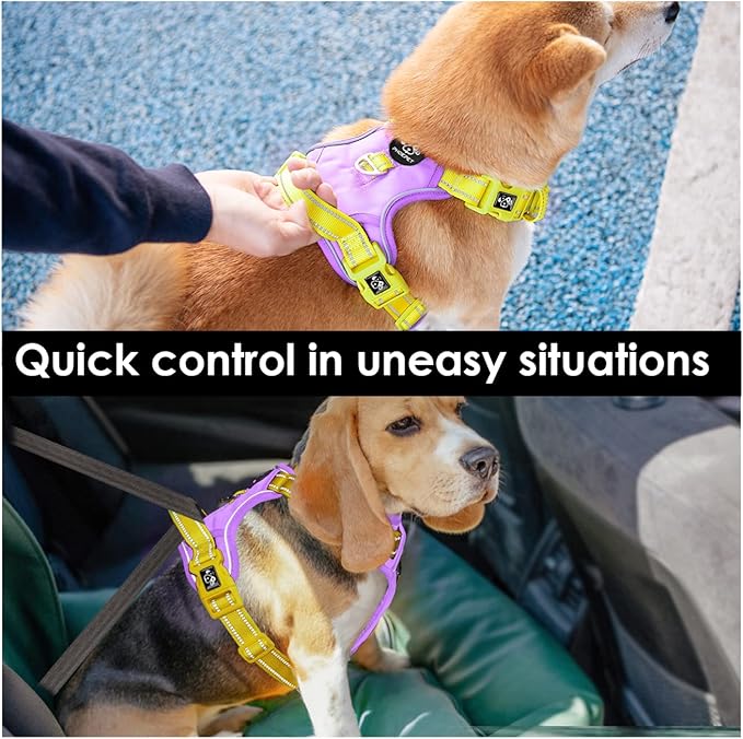 PHOEPET No Pull Dog Harness, Unique Colors Reflective Adjustable Dog Vest, with Soft Training Handle Metal Clips for Small Medium Large Dogs (Baby Purple Base & Yellow Straps,M)