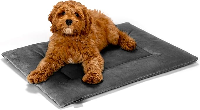 KindTail Dog Crate Pad - Soft Velvet, Reversible Bed - Machine Washable Kennel Mat for Pets up to 25 lbs - Mattress for Cozy Sleeping - 25” x 19” x 1” (Dark Grey, Medium)