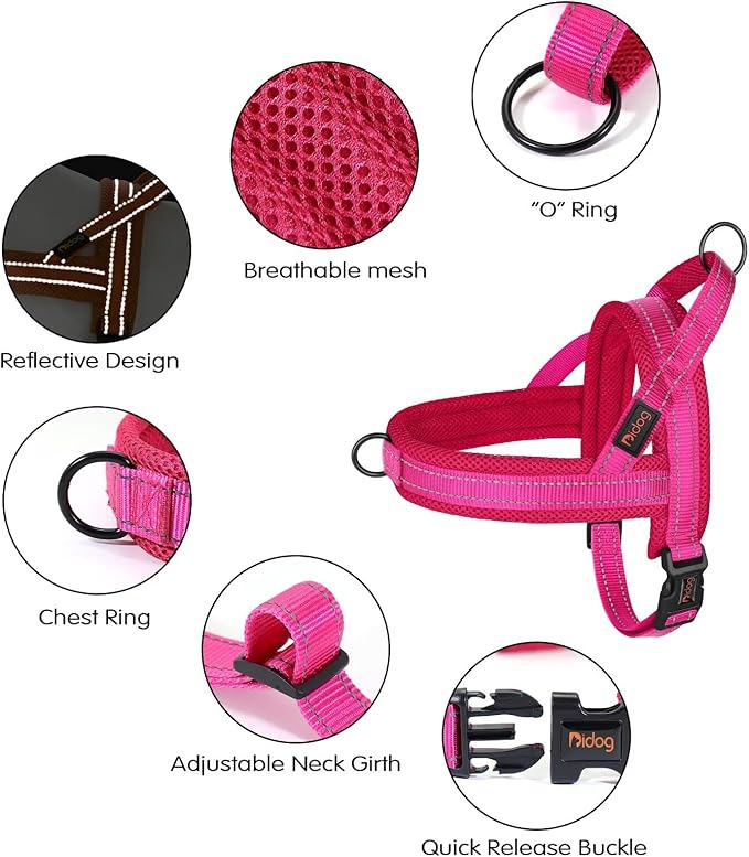 Didog No Pull Dog Harness with Soft Mesh Padded,Reflective & Quick Fit Light Weight Dog Strap Vest Harness,Easy for Walking Training (XS:Chest 15-18", Mesh-Hot Pink)