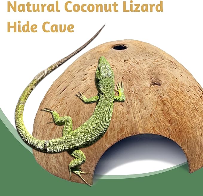 PINVNBY 4 PCS Natural Coconut Reptile Hideouts Lizard Coco Hut Hermit Crab Hut Aquarium Fish Hide Cave Spider Snail Climber Toys