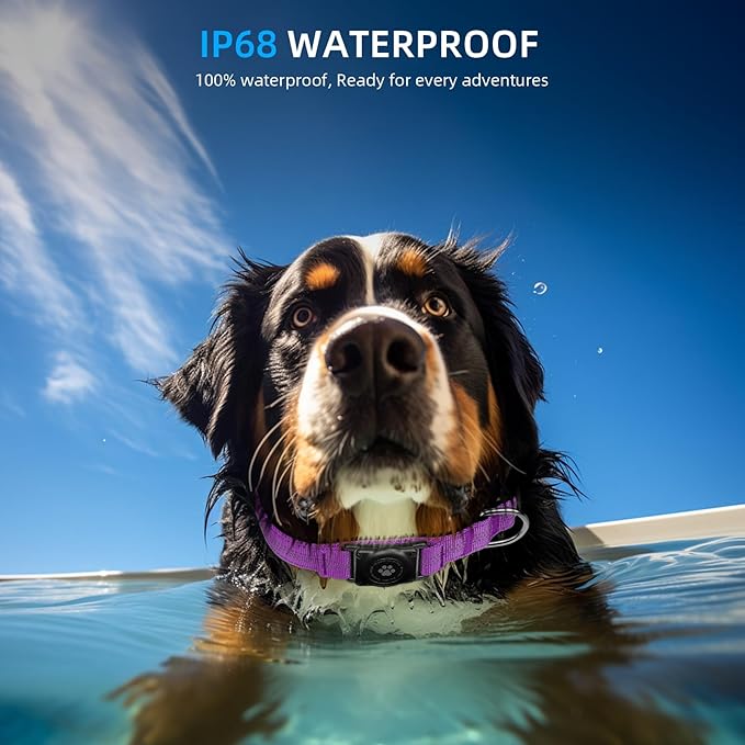 Reflective Air Tag Dog Collar - 100% Waterproof Dog Collar AirTag Holder | Extra-Durable, Soft Padded AirTag Dog Collars for Small Medium Large Dogs