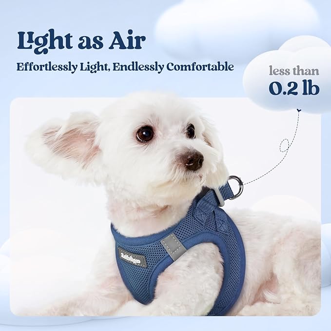 rabbitgoo Dog Harness Small Sized and Leash Set, Step in Soft Light Puppy Vest, Breathable Mesh Pet Harness, Reflective for Safe Outdoor Walking, Navy Blue M