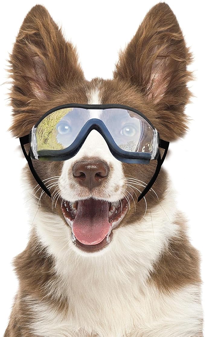 Dog Goggles Anti-UV Windproof Dog Sunglasses Eye Protection for Medium Large Dogs with Adjustable Straps/Clear Lense