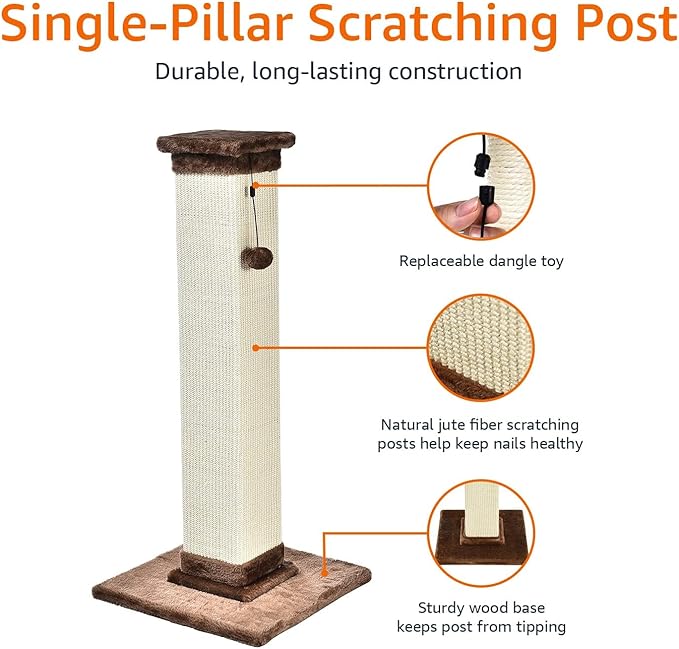 Amazon Basics Cat Scratcher - Indoor Classic Single Cat & Kittens Scratching Post with Sisal Rope, Jute Fiber, Large (35.4"H) - Brown