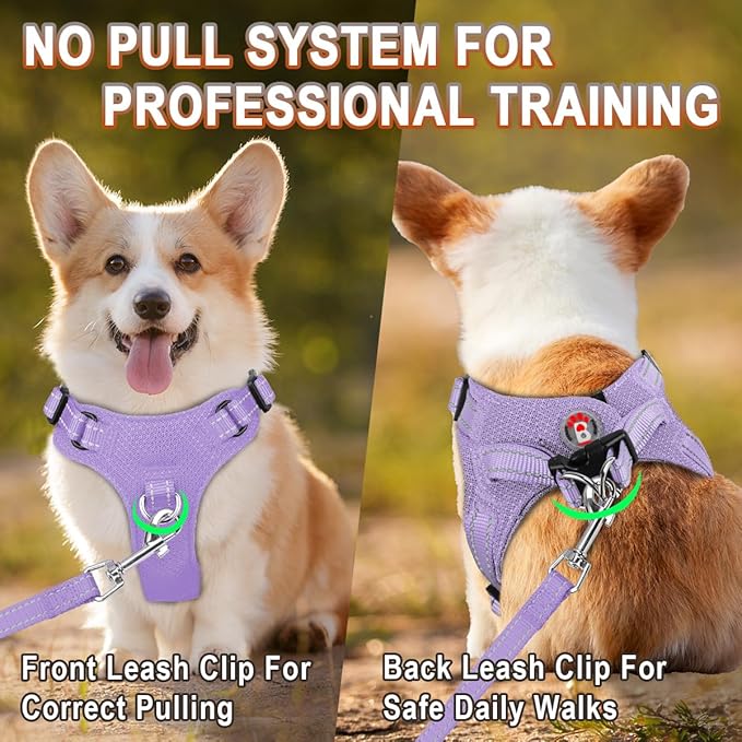 Dog Harness Step in Dog Vest Harness, Reflective Adjustable Puppy No Pull Harness Breathable Soft for Small and Medium Dogs Cats, Violet Purple, S