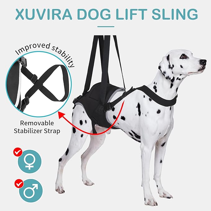 Dog Lift Harness for Small Dogs, Adjustable Rear Leg Support Sling for Hip Dysplasia, Arthritis, Weak Hind Legs, Post-Surgery Recovery, Comfortable & Secure with Sturdy Buckles, S