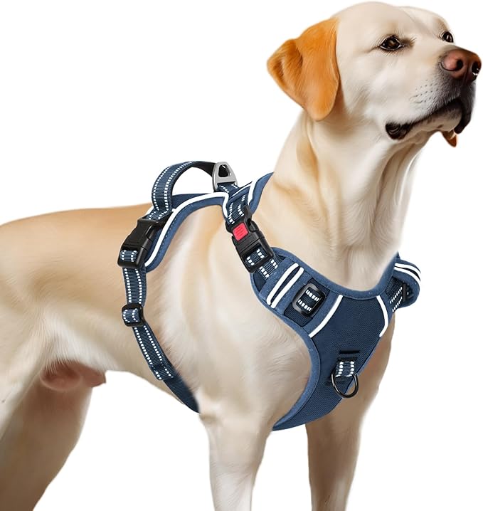 Timos Dog Harness Large Sized, No Pull Pet Harness with Neck Lockable Snap,No Choke Front Clip Dog Reflective Vest,Adjustable Metal Rings 3 Buckles,Easy Control Handle for Large Dogs Royal Blue XL