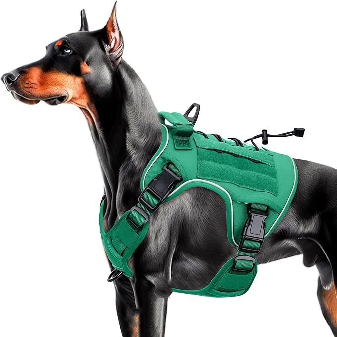 Heavy-Duty Tactical Dog Harness for Large Dogs, No Pull Adjustable Reflective Pet Vest with Molle System, K9 Military-Grade Control for Service Training, Outdoor & 10+ Breeds, Turquoise, Large
