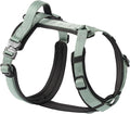 CLEPAWS Dog Harness for X-Large Dogs, No Pull Dog Harness Easy Walk with Metal Hardware, Ergonomic Y-Shaped Design, Soft Padding, Padded Handle, Durable High-Tensile Nylon (Seabreeze, XL)