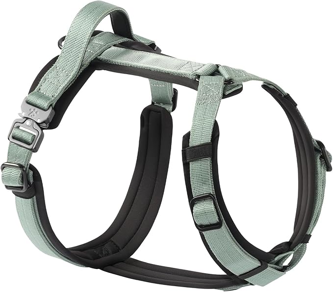 CLEPAWS Dog Harness for Small Dogs, No Pull Dog Harness Easy Walk with Metal Hardware, Ergonomic Y-Shaped Design, Soft Padding, Padded Handle, Durable High-Tensile Nylon (Seabreeze, S)