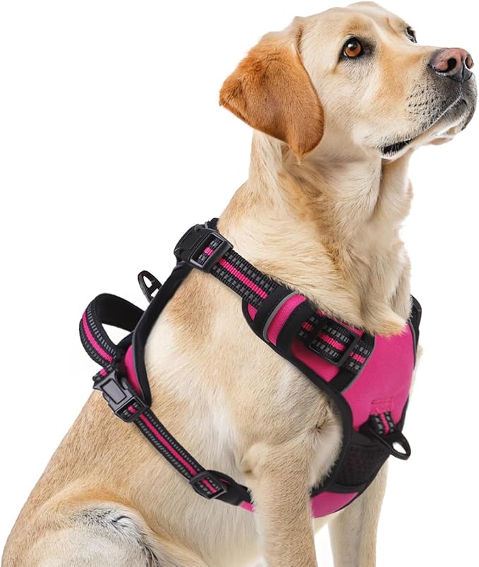 PUPTECK No Pull Dog Harness for Large, Adjustable Reflective Dog Harness with Handle Easy Control, Comfortable Soft Padded Pet Vest Harness for Large Dogs, Fuschia L