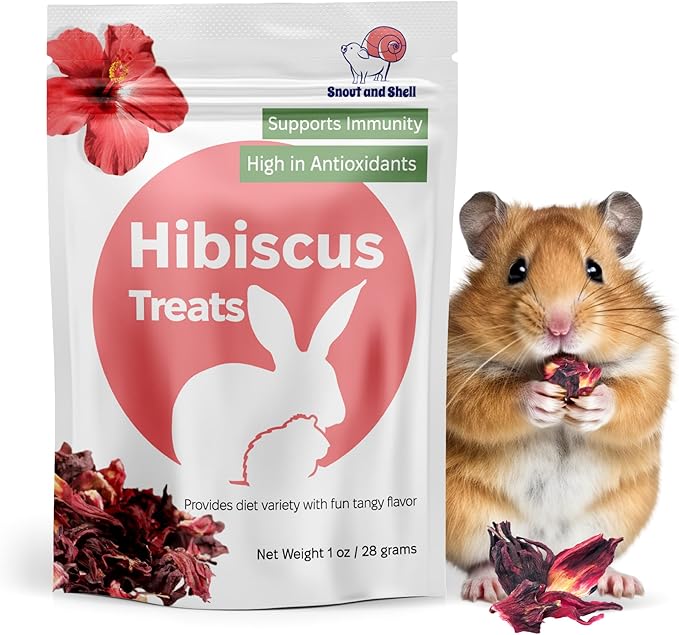 Snout and Shell Hibiscus Treats – 100% Natural Dried Flowers for Small Pets – Immunity Support & Antioxidants – Healthy Snack for Rabbits, Guinea Pigs, & Chinchillas (1 oz)