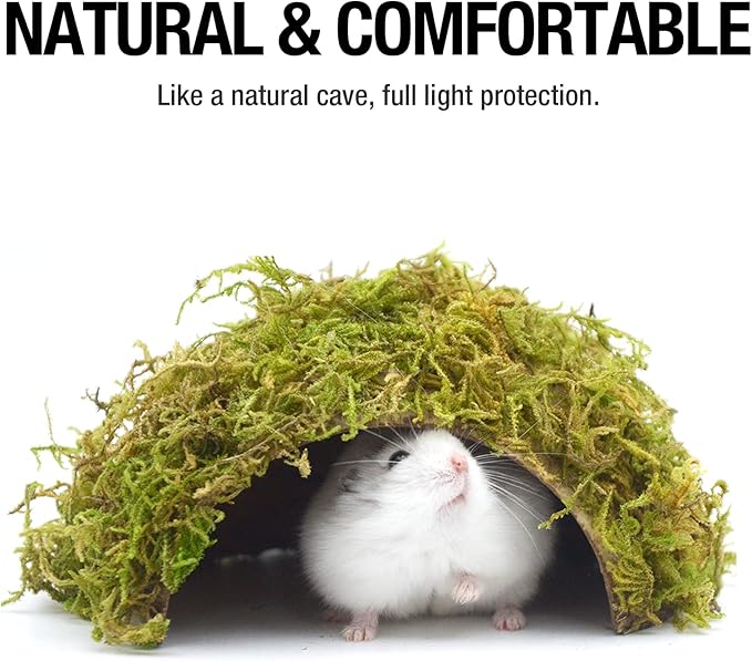 Hamster Hideaway/Hideout,Mossy Cave Hide,Hamster House/Hides,Hamster Cage Accessories for Gguinea Pig/Hedgehogs/Gliders/Rats/Mice and Other Small Animals (Small)
