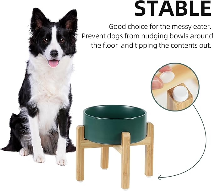 Ceramic Elevated Dog Bowl Set, Food and Water Bowl for Medium Dogs, Weighted Dishes, Green (7.3'', 41OZ)