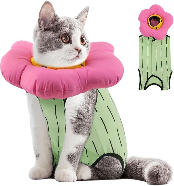 EMUST 2PCS Cat Recovery Suit and Cone Collar - Breathable Spay Suit, Adjustable Soft E Collar Alternative for Cats After Surgery - Green, L (8-16lb)