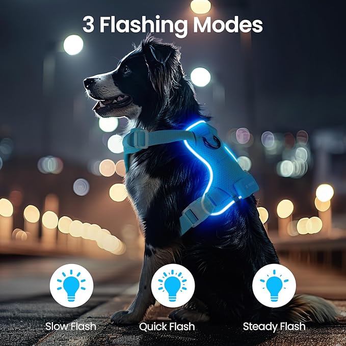 Light Up Dog Harness,Reflective Pet Harness Rechargeable,Led Dog Vest for Night Walking,Adjustable Safety Vest for Small Medium Large Dogs-No Pull,Blue,S