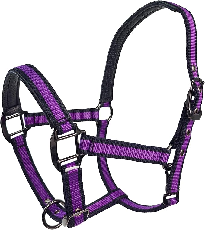 JWODVNTH Adjustable Horse Halter with PP Webbing, Durable Horse Halters with Zinc Alloy Hardware, Horses Training Equipment to Prevent Friction for Training, Competitions ＆ Daily
