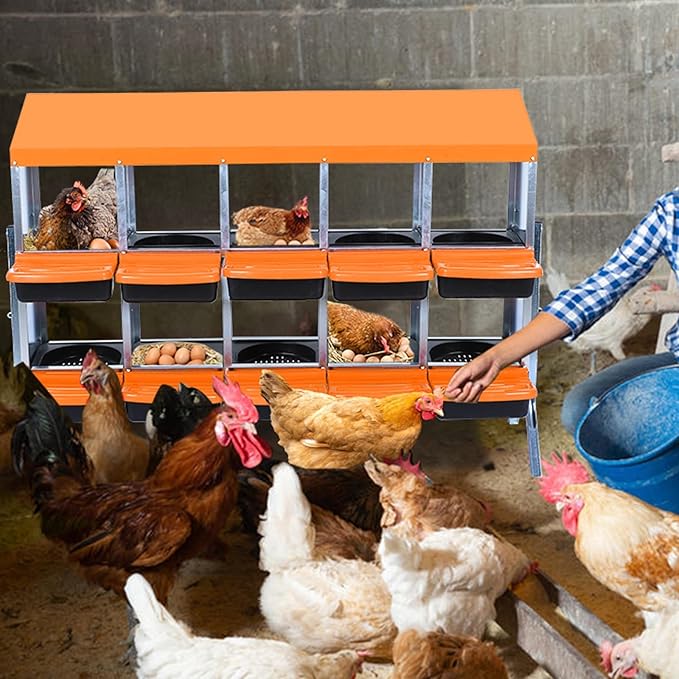 Chicken Nesting Boxes, 10 Hole Metal Chicken Laying Box with with Removable Trays and Roll Out Egg Collection for Chicken Coop, with Metal Bracket, Orange