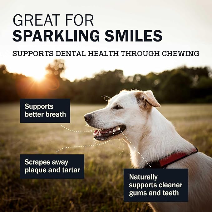 Redbarn Natural Dur-A-Bulls Treats for Dogs - 5 Medium Sticks - Hickory Flavor - Made in USA Long Lasting 100% Digestible No Artificial Ingredients or Plastic