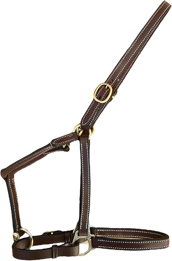 Leaders 3/4" Leather Halter for Horses with Customized Engraved Name Plate Brown Leather with Solid Brass Hardware