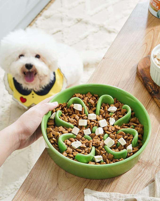 LE TAUCI Slow Feeder Dog Bowls Ceramic, 1.5 Cups Dog Food Bowl, Puppy Slow Feeder Dish for Fast Eaters, Clover Green