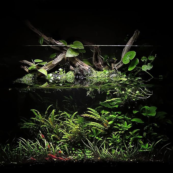 Ultum Nature Systems Controsoil - Freshwater Aqua Soil Substrate for Fish, Shrimp, Live Plant Propagation and Aquascaping - 6.8pH Low Ammonia, Volcanic Ash - Black, Fine (10 Liter | 20LB)