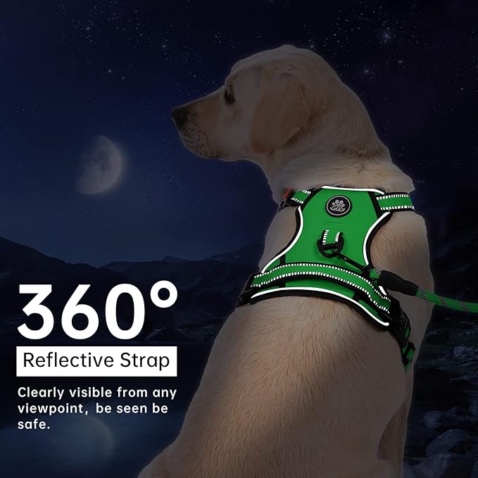 IVY&LANE No Pull Dog Harness for Large Dogs, Dog Vest Harness with Leash, Safety Belt and Storage Strap, Fully Adjustable Harness, 360° Reflective Strip, Soft Handle (Green, L)