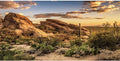 AWERT Reptile Habitat Background Blue Sky Oasis Cactus Sun and Desert Terrarium Background 24x12 inches Durable Polyester Background