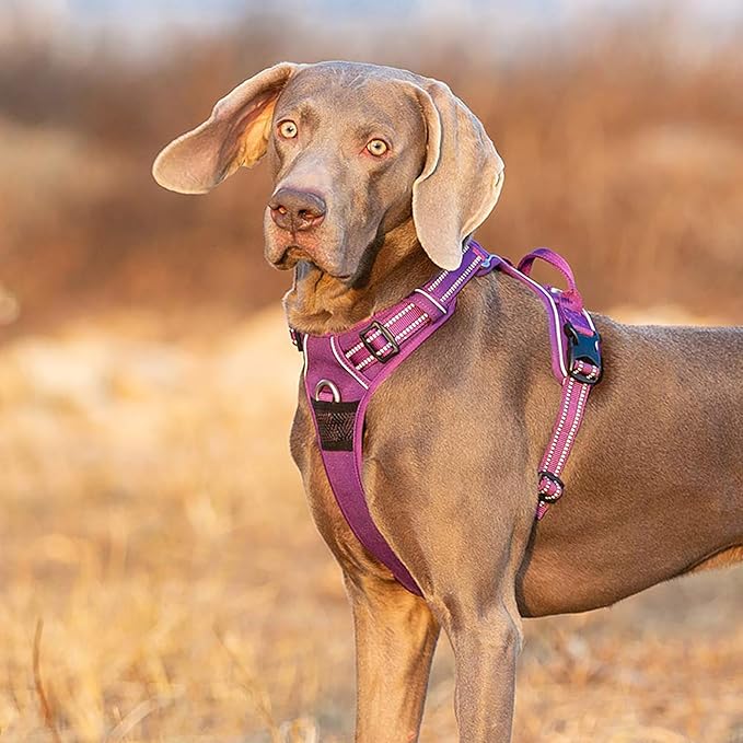TRUE LOVE Dog Harness No Pull Nylon Reflective Pet Harness Adjustable Comfortable Control Step-in Brilliant Colors Truelove TLH56512 XS
